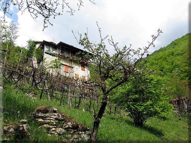 foto Passeggiata Rocca - Zanetti - Corlo